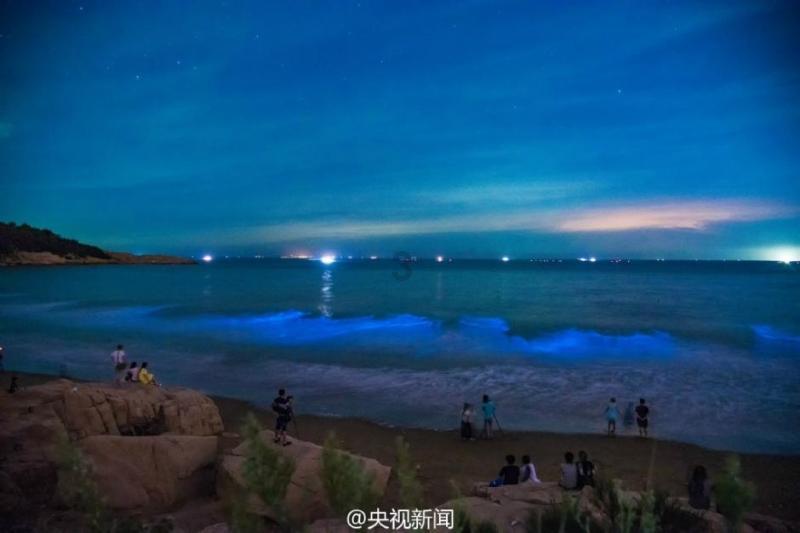 俄罗斯大使:俄罗斯与北约间仍保留有沟通渠道