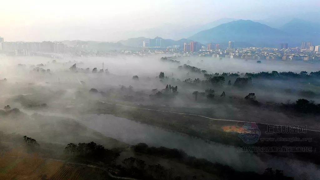 救援可爱小松鼠