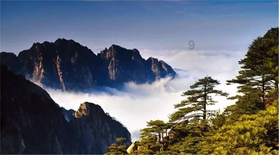 元麟南柯郡主祁光大结局游戏画面
