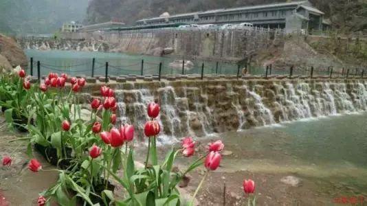 拯救精灵的土地6