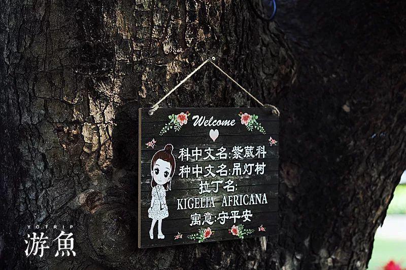 哥特舰队