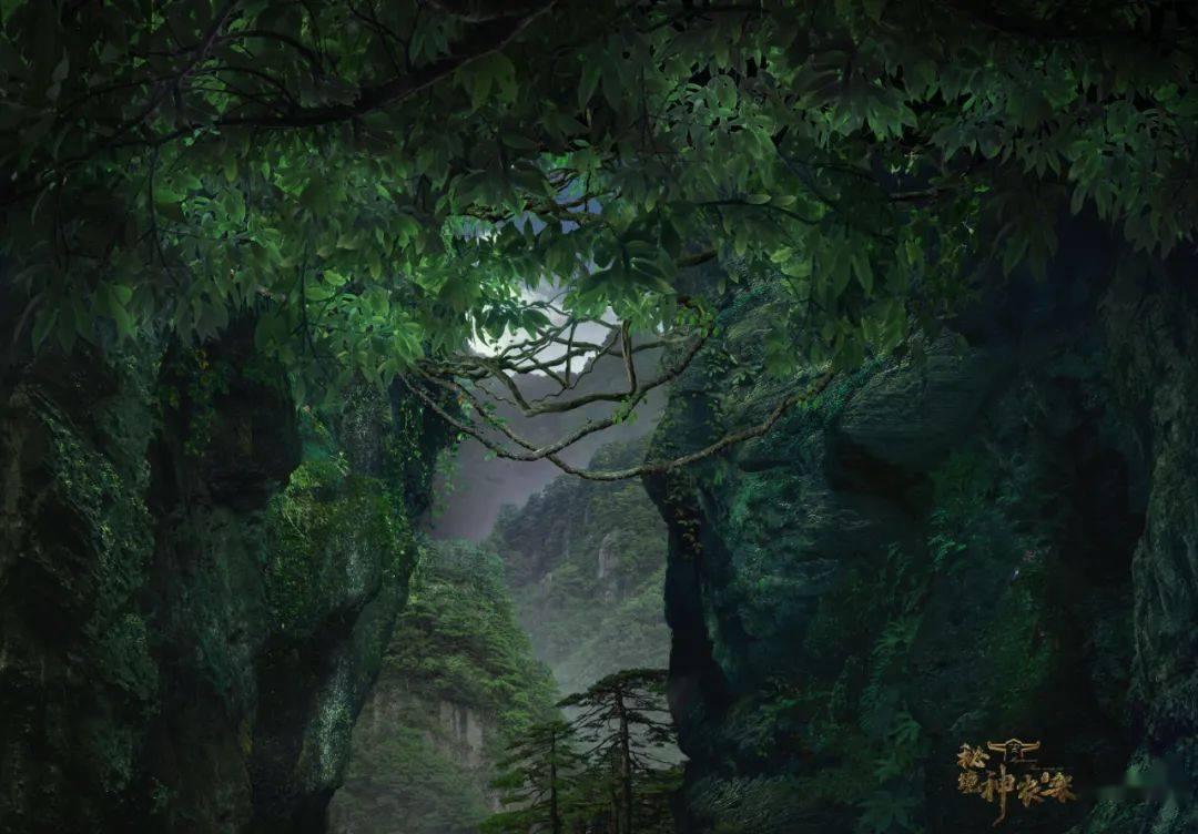 了解你的视力是中了魔吗你的视力是中了魔是什么意思?,深入探索知识星球平台