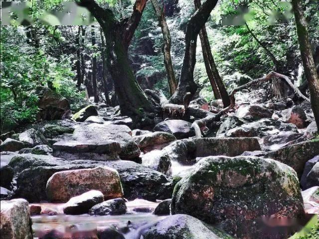大炮篮球3选关版