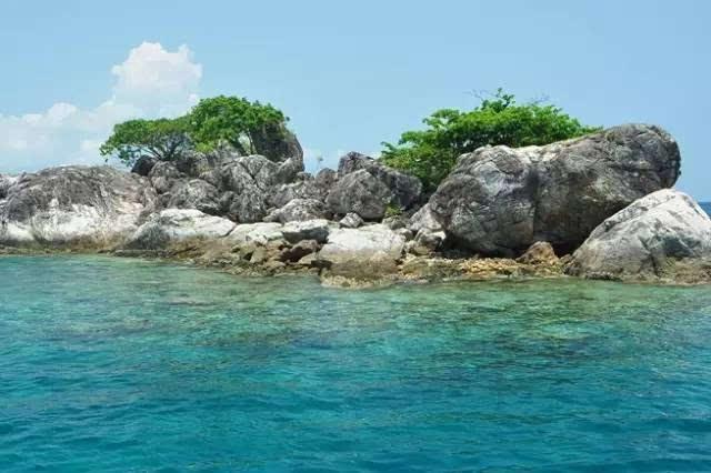林毅峰:中国深远海海上风电发展前景广阔 需自己“蹚”路