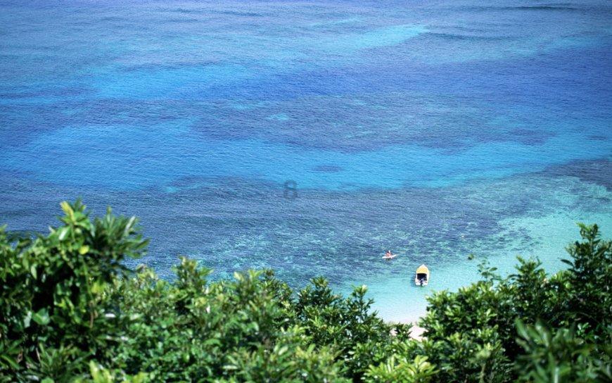 救援深海动物