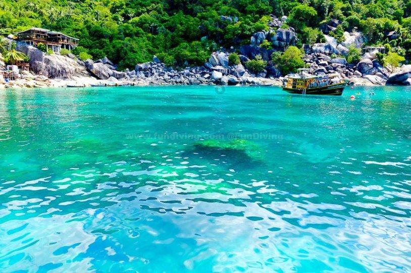 沪江开心词场