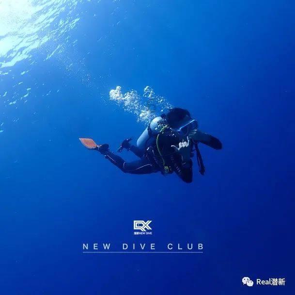救援小棕兔
