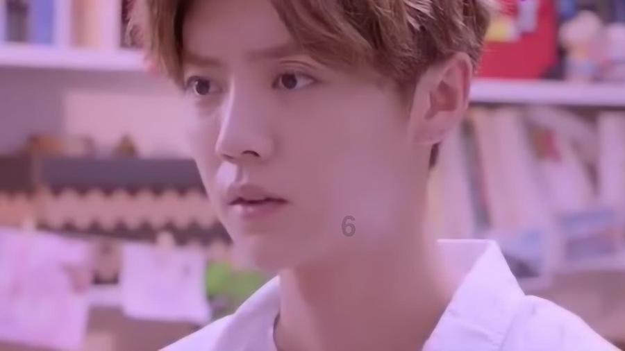 五彩鹦鹉救援