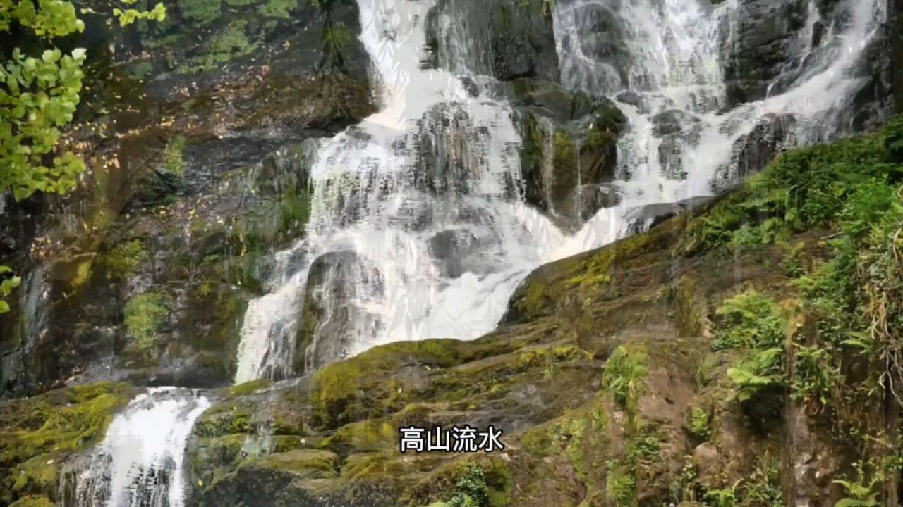 拯救精灵的土地10