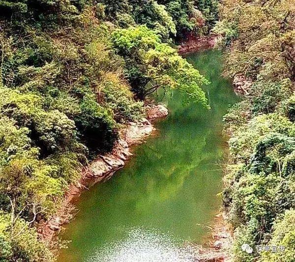早餐别吃油条了，教你面食新吃法，比包子油条都强，做1个能吃3天游戏画面