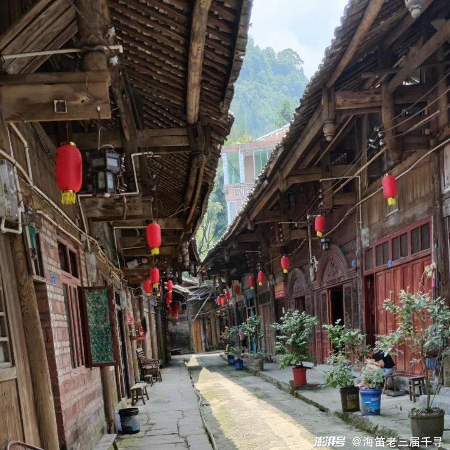 优雅的精灵