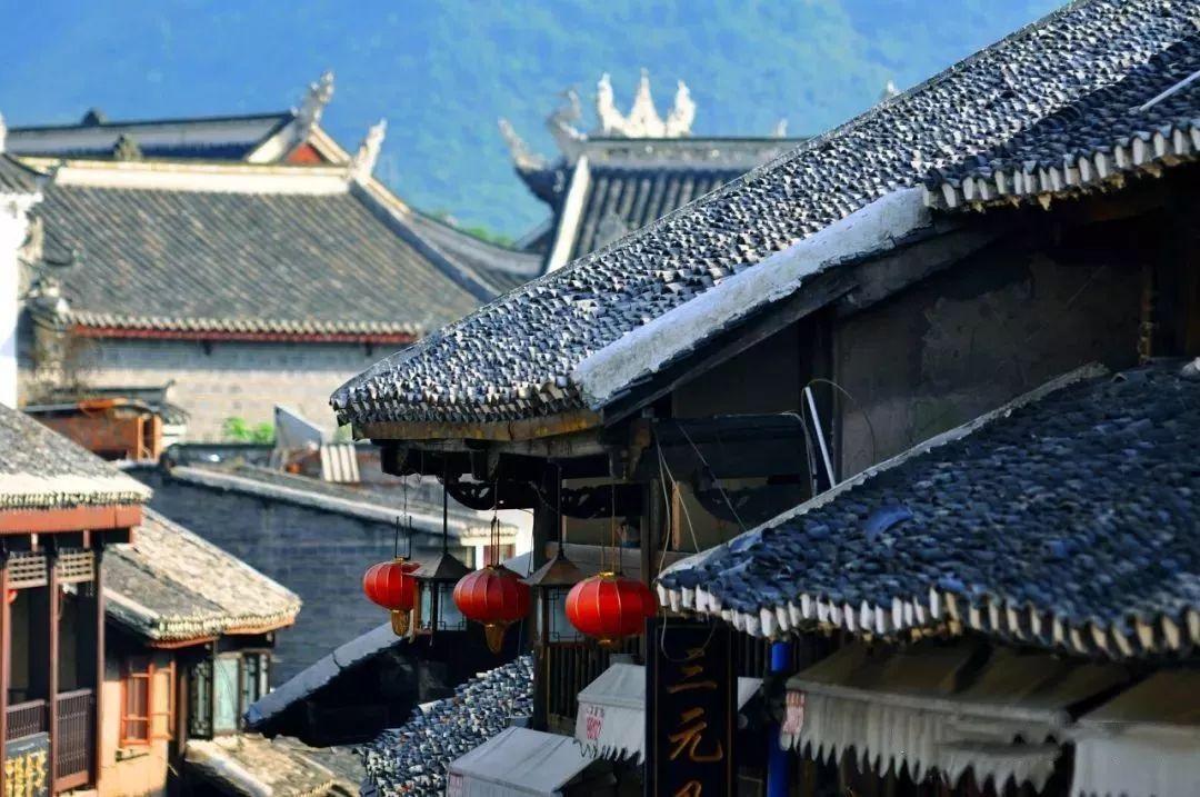 我省白杨派山杨新品种“立阳”获国家植物新品种授权