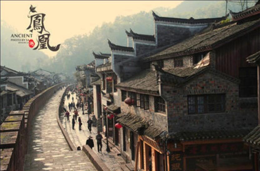 飞天小猪仔