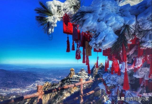 可爱吊带裙